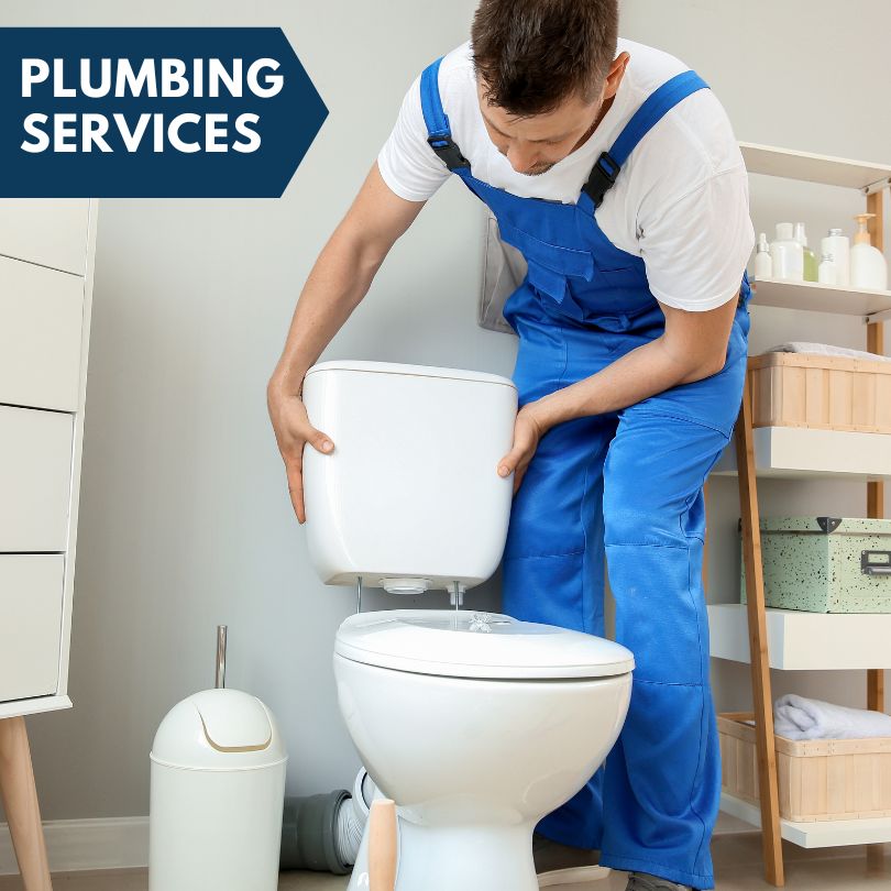 Plumbing Company in Cedar Springs, MI
